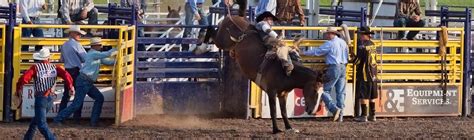 Rodeos | Yellowstone Country, Montana