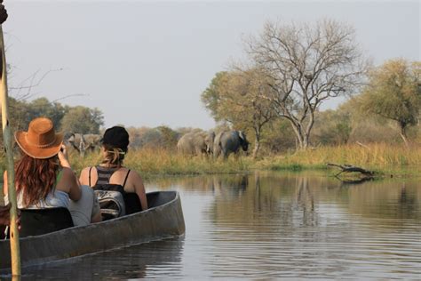 Botswana Tours | Botswana Safari | Cost | Vacation Package