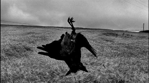 Josef Koudelka - Gypsies and Exiles - Photography - YouTube