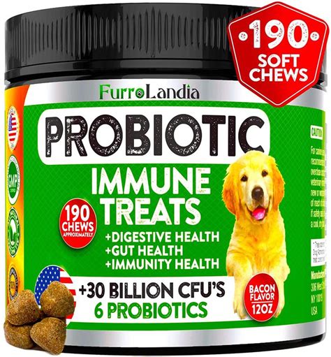 Top 4 All Natural Probiotics for Dogs in 2020 - The Pets Digest ...