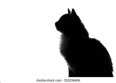 Fluffy Cat Silhouette Clip Art