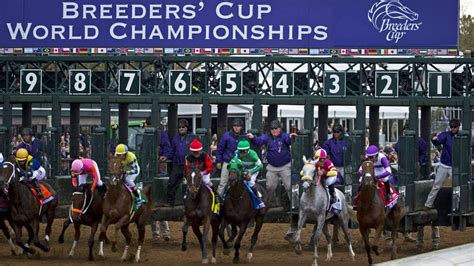 Breeders Cup 2023 Day 1 Tips for a Lucky 15