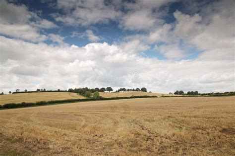 Countryside of Oxfordshire England Stock Photo - Image of kingdom ...