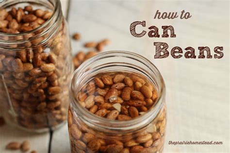 Canning Dry Beans