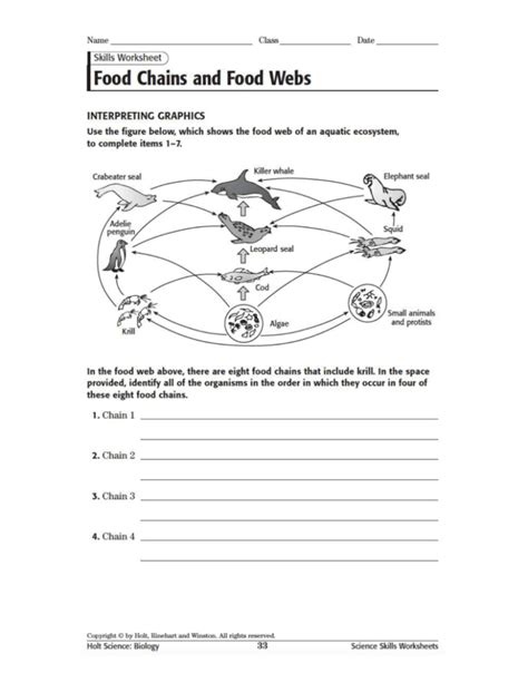 Food Webs Review Worksheets