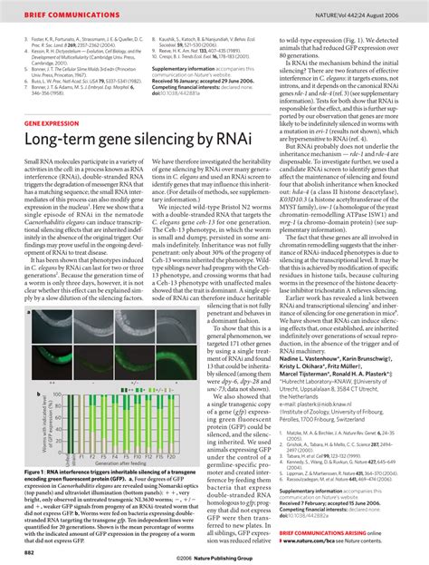 (PDF) Long-term gene silencing by RNAi