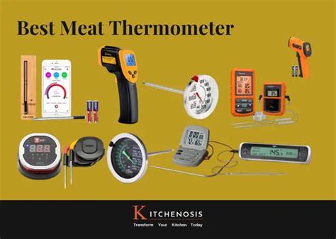 Best Meat Thermometer - Kitchenosis