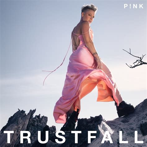 ‎TRUSTFALL by P!nk on Apple Music