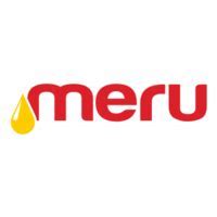 Meru Logos