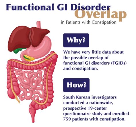 Does Fecal Microbiota Transplant Relieve IBS Symptoms? - Constipation, IBS, and Related Disorders