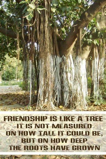 Friendship Quotes | True Friends and Tree Poems