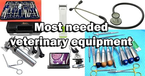 Most Needed Veterinary Equipment - 6 of the Best! | Veterinary, Vet ...