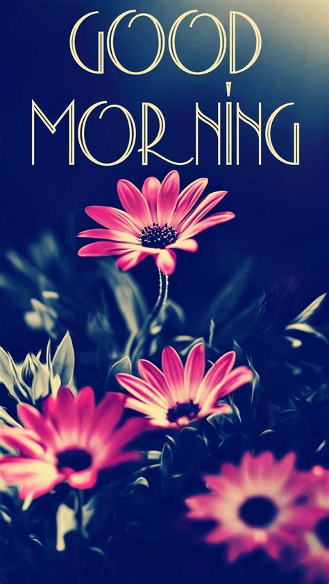 G. Morning