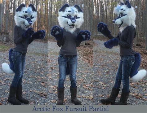 Cosy Outfit, Heads And Tails, Arctic Fox, Fursuit, Whiskers, Furry Art, Partial, Beautiful ...