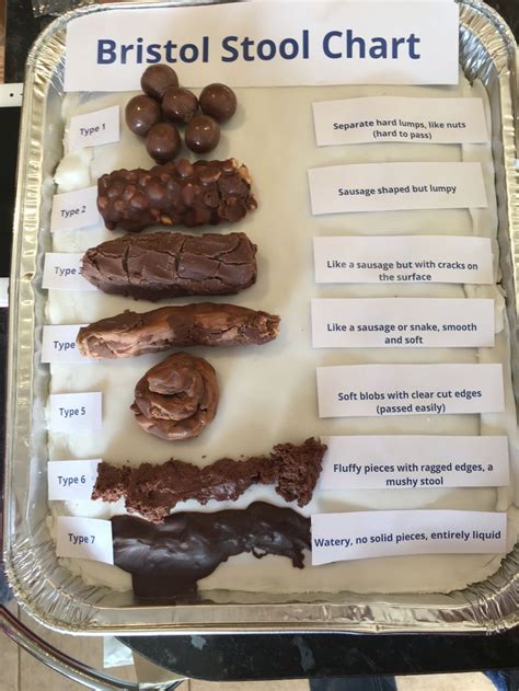 Bristol Stool Chart Cake