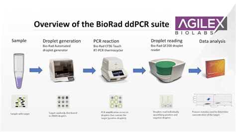 Identify and quantify point mutations in circulating tumour DNA: The ddPCR approach™ - Agilex ...