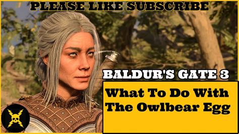 Baldur's Gate 3: What To Do With The Owlbear Egg? - YouTube