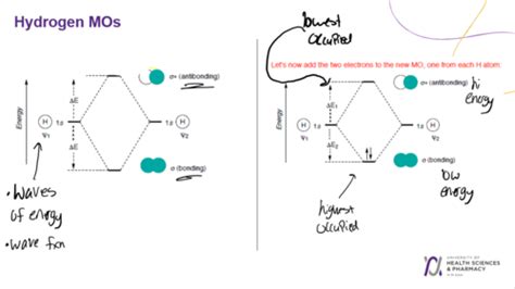 Unit 1 grad Flashcards | Quizlet