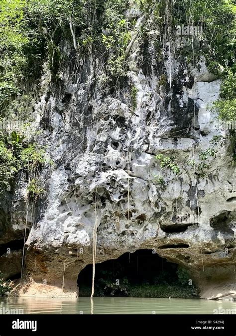 Beautiful cave formation, Caves Branch River, Belize Stock Photo - Alamy