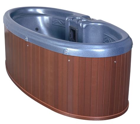 QCA Spas Model 0 Gemini Plug and Play Hot Tub, 92 by 42 by 29-Inch ...