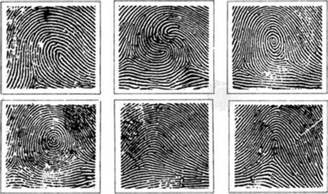 Fingerprinting | A Philosopher's View