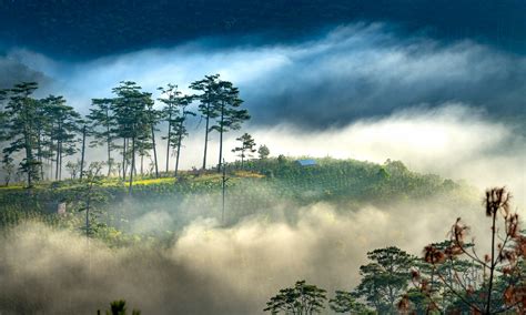 25 Fun Things To Do in Dalat, Vietnam – Wandering Wheatleys