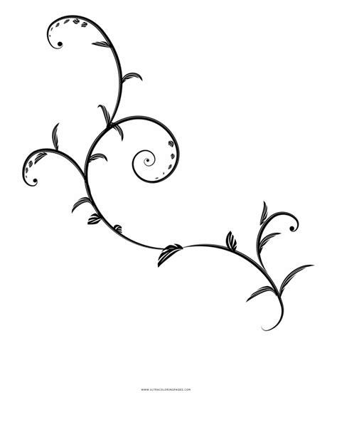 Free Vines Clipart Black And White, Download Free Vines Clipart Black And White png images, Free ...