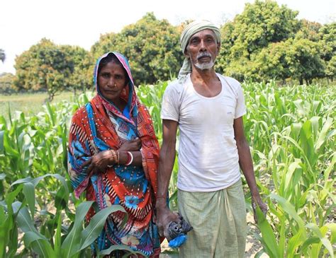 For Farmers in Bihar, A Simple Solution for More Crops - The New York Times