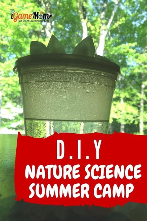 DIY Nature Science Summer Camp at Home | Summer science activities, Science summer camp, Kids ...