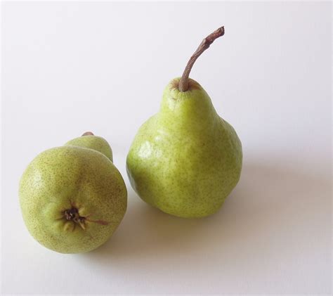 File:Pear peckham 78.jpg - Wikipedia