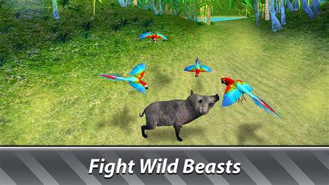 Jungle Parrot Simulator - try wild bird survival! APK per Android Download