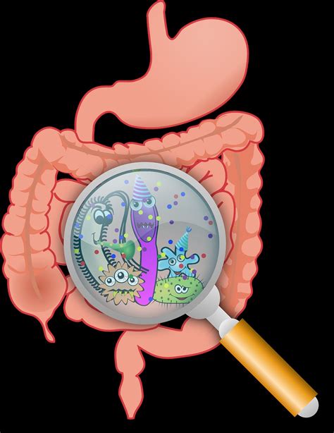 Common Causes Of Diarrhoea And Vomiting In Adults