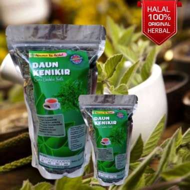 Jual Daun Kenikir Terbaru - Harga Promo Agustus 2023 | Blibli