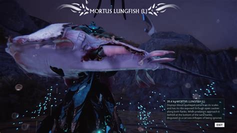 WARFRAME - A spot for Mortus Lungfish (night) fishing - YouTube