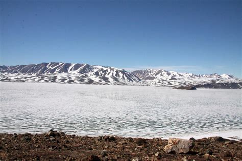 Melting Sea Ice May Lead to More Life in the Sea - Research ...