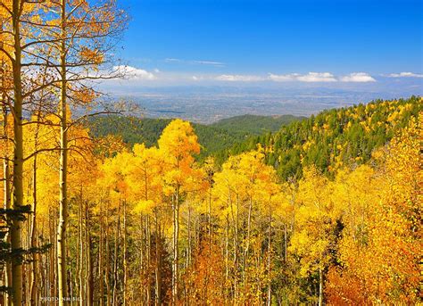 Santa Fe National Forest - Photo 5 Colorado Mountains, Rocky Mountains ...