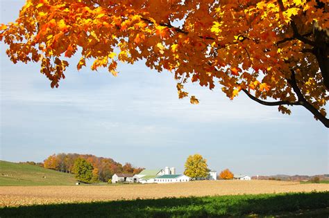 Beautiful! #amish #country #fall | Amish country ohio, Amish farm, Amish country