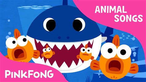 Baby Shark - Pinkfong - Testo e Traduzione - Bad Boy Music