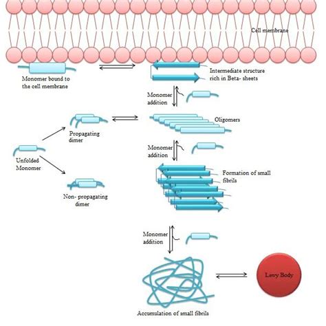 Mechanism of action of Rotenone | Download Scientific Diagram