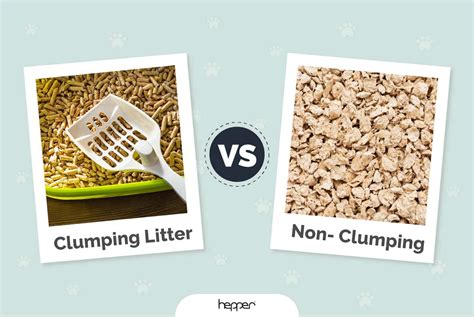 Clumping vs Non-Clumping Cat Litter: Which is Best in 2022? | Hepper