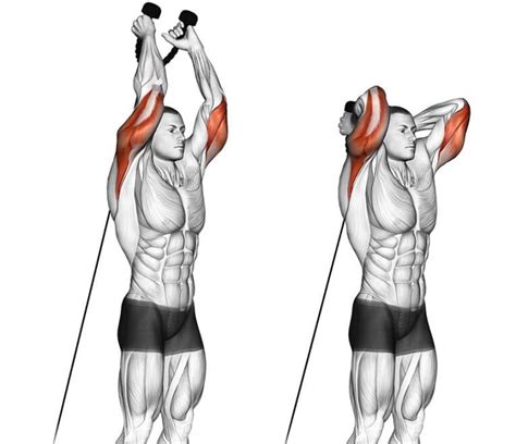 What is an overhead tricep extension?