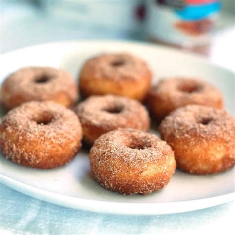 Cinnamon Sugar Mini Donuts Recipe - Pinch of Yum