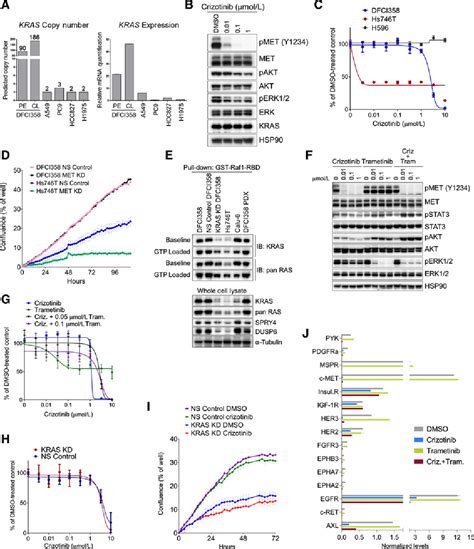 Figure 2 from Amplification of Wild-type KRAS Imparts Resistance to ...