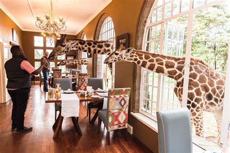 GIRAFFE MANOR - Updated 2022 Reviews (Nairobi, Kenya)