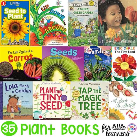 Plant Books for Little Learners - Pocket of Preschool