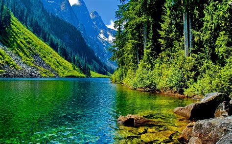 🔥 Free Download Forest Mountain River Nature Desktop Wallpaper by ...