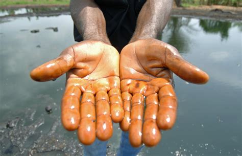 Nigeria Could Unearth Major Oil Reserves In Lake Chad Area: Nigerian ...