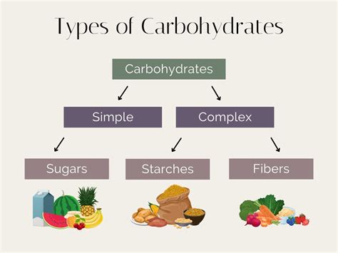 Types of Carbohydrates - Stephanie Kay Nutrition