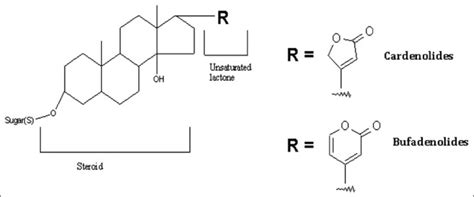 Generic structure of cardiac glycosides | Download Scientific Diagram