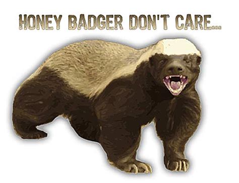 Honey Badger - Crazy, Fearless Devourer of Prey - FactZoo.com